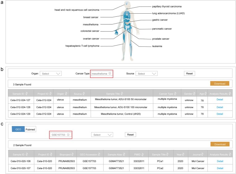 ScLineageAtlas: a comprehensive single-cell genomics database for characterizing cellular clones in cancer.
