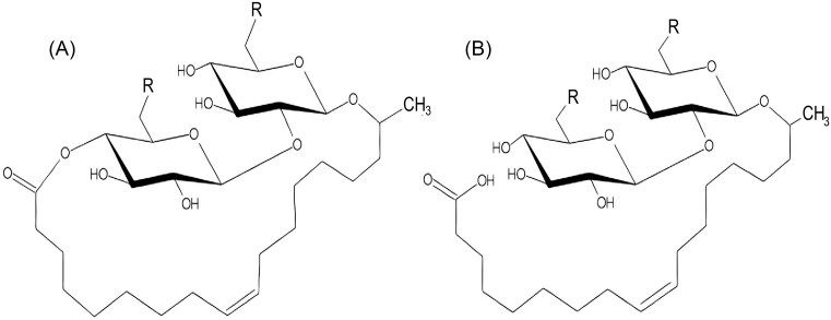 Metabolic versatility of the Wickerhamiella/Starmerella yeast clade: from sugar utilization to lipid metabolism.