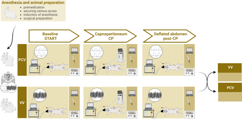 Effects of Variable Ventilation on Gas Exchange in an Experimental Model of Capnoperitoneum: A Randomized Crossover Study.