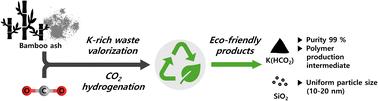 Simultaneous utilization of CO2 and potassium-rich biomass for the environmentally friendly production of potassium formate†
