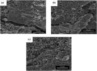 Porous hydroxyapatite-chitosan scaffolds for tissue engineering: experimental characterization and molecular dynamics simulation