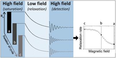 Field-dependent relaxation profiles of biomolecular systems