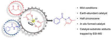 In situ generation and conversion of a half-zirconocene catalyst for the synthesis of N-acylpyrazoles†