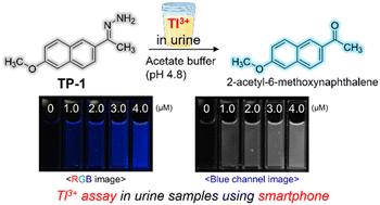 Selective fluorescent probe for Tl3+ ions through metal-induced hydrolysis and its application for direct assay of artificial urine†