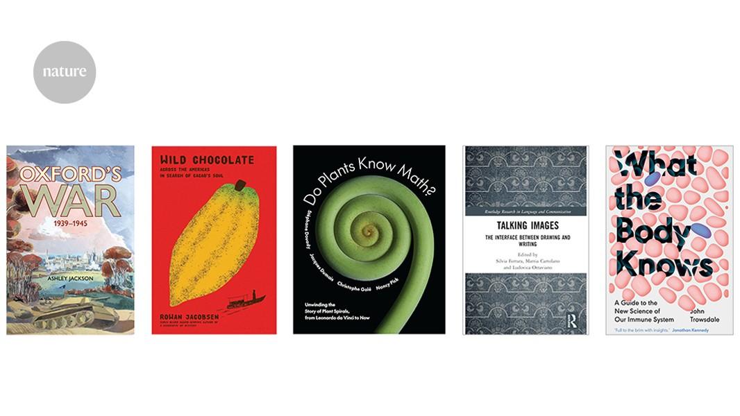 Pictograms, comics and other illustrations: Books in brief