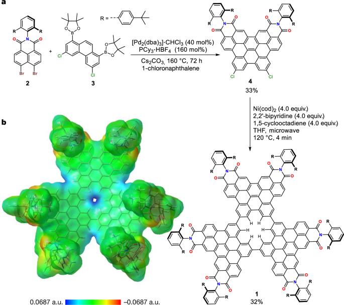 Bilayer nanographene reveals halide permeation through a benzene hole