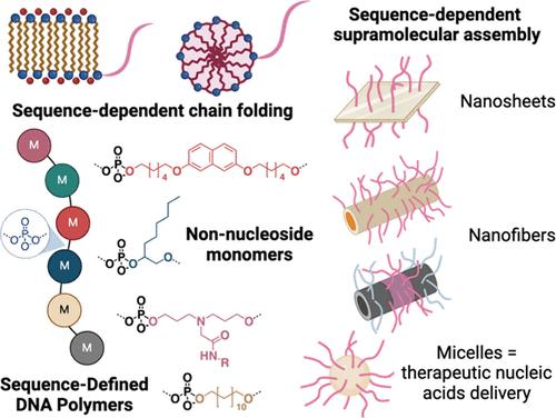 Sequence-Defined DNA Polymers: New Tools for DNA Nanotechnology and Nucleic Acid Therapy