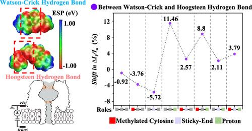 Nanopore Discriminates Watson–Crick and Hoogsteen Hydrogen Bonds in Multiple DNA Contexts