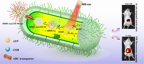 Aptamer-Driven Multifunctional Nanoplatform for Near-Infrared Fluorescence Imaging and Rapid In Situ Inactivation of Salmonella typhimurium