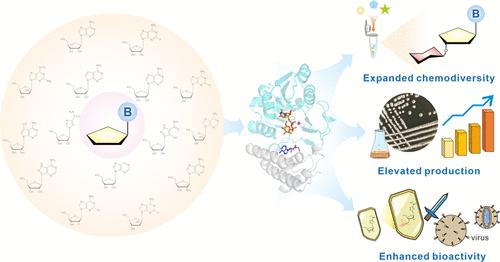 Efficient Synthesis of Glycodiversified Nucleoside Analogues by a Thermophilic Promiscuous Glycosyltransferase