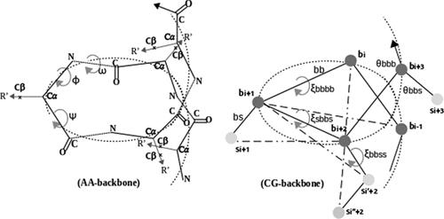 A Coarse-Grained Simulation Approach for Protein Molecular Conformation Dynamics