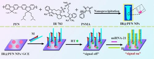 Polyfluorene-Enhanced Near-Infrared Electrochemiluminescence of Heptamethine Cyanine Dye for Coreactants-Free Bioanalysis