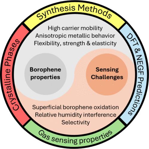 Roadmap for Borophene Gas Sensors