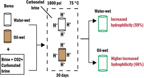 Influence of Carbonated Water on CO2 Residual Trapping in Berea Sandstones