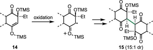 A Stereoselective Oxidative Dimerization En Route to (−)-Lomaiviticin A