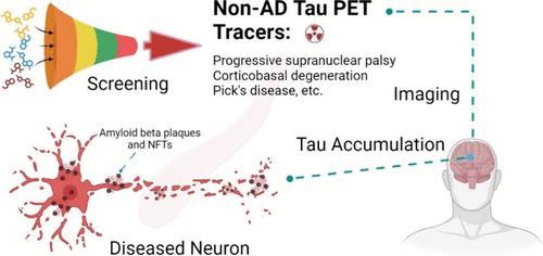 Current Progress and Future Directions in Non-Alzheimer’s Disease Tau PET Tracers