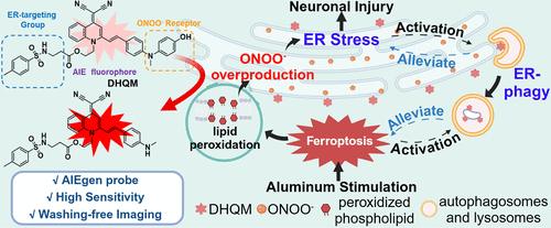Visualizing Endoplasmic Reticulum Stress and Autophagy in Alzheimer’s Model Cells by a Peroxynitrite-Responsive AIEgen Fluorescent Probe