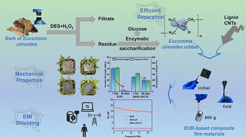 Efficient Isolation of Eucommia ulmoides Rubber for the Fabrication of Composite Film Materials with Better Mechanical Properties and Electromagnetic Interference Shielding Properties