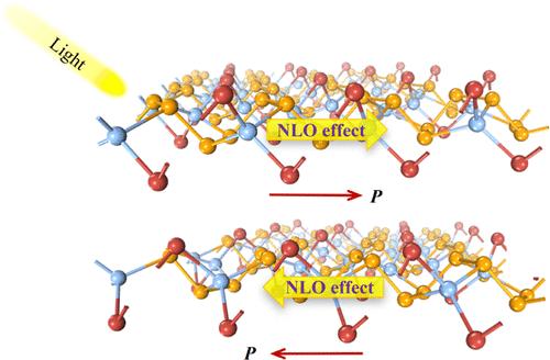 Ferroelectricity and Nonlinear Optical Responses in Two-Dimensional Distorted MX2Y (M = Cu, Ag, Au; X = Chalcogens; Y = Halogen) Monolayers