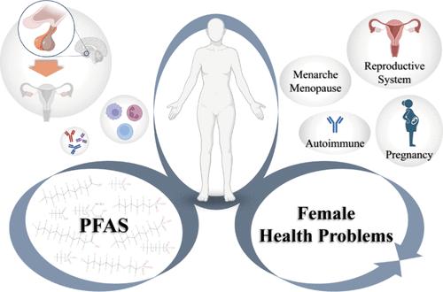 Per- and Polyfluoroalkyl Substances and Female Health Concern: Gender-based Accumulation Differences, Adverse Outcomes, and Mechanisms