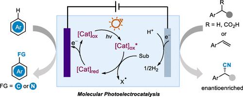 Molecular Photoelectrocatalysis for Radical Reactions
