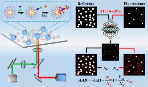 Deep-Learning-Assisted Digital Fluorescence Immunoassay on Magnetic Beads for Ultrasensitive Determination of Protein Biomarkers