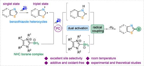 Photocatalytic Direct Borylation of Benzothiazole Heterocycles via a Triplet Activation Strategy