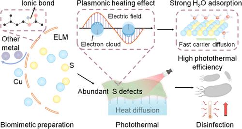 Biomimetic Confined Assembly of Plasmonic CuS from Electronic Waste for Rapid Photothermal Disinfection