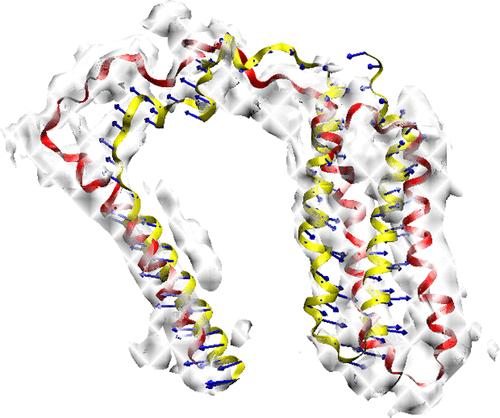 ModeHunter: A Package for the Reductionist Analysis, Animation, and Application of Elastic Biomolecular Motion