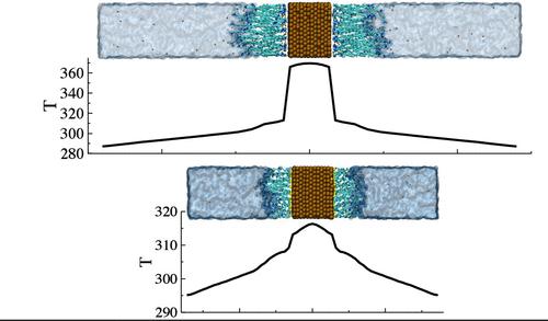 Thermal Transport through CTAB- and MTAB-Functionalized Gold Interfaces Using Molecular Dynamics Simulations
