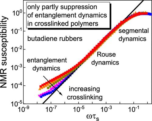 Manifestation of Rouse and Entanglement Dynamics in Non-Cross-Linked and Cross-Linked Polymers Studied by Field-Cycling and Multiple Quantum NMR