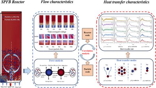 CFD-DEM Modeling and Correlation Analysis between Flow Behaviors and Heat Transfer Characteristics of Bidispersed Particles in a Spouted Pulsed Fluidized Bed