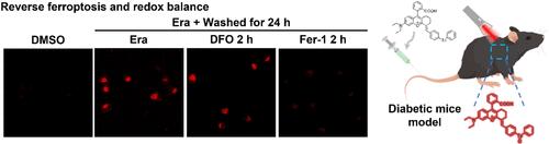 Fabrication of a Redox-Reversible Near-Infrared Fluorogenic Probe for Ferroptosis Process Monitoring and the Early Diagnosis of Diabetes