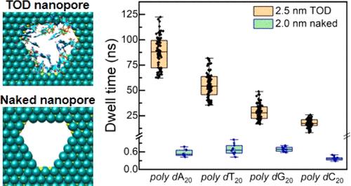 Sequence-Dependent Slowdown of DNA Translocation Using Transmembrane RNA–DNA Interactions in MoS2 Nanopore