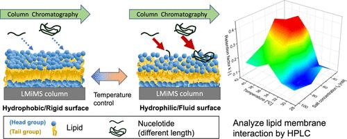 Interaction Analysis between Cationic Lipid and Oligonucleotide with a Lipid Membrane-Immobilized Monolith Silica Column: A High-Performance Liquid Chromatography Approach