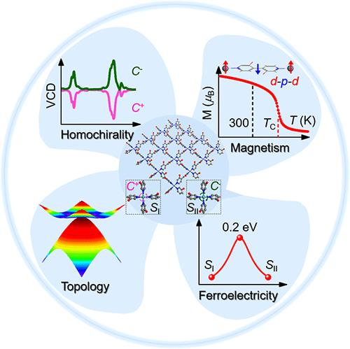 Designing Chiral Organometallic Nanosheets with Room-Temperature Multiferroicity and Topological Nodes