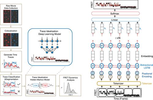 Pretrained Deep Neural Network Kin-SiM for Single-Molecule FRET Trace Idealization