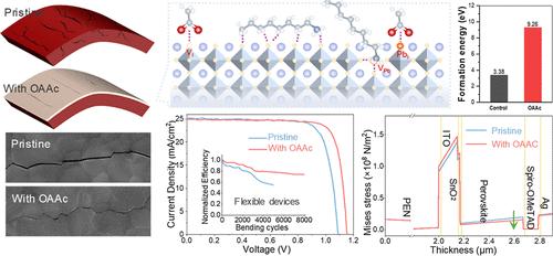 Mechanically Resilient and Highly Efficient Flexible Perovskite Solar Cells with Octylammonium Acetate for Surface Adhesion and Stress Relief