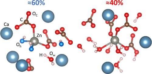 Affinity for OH– Produces Four-Coordinated Zn2+ Impurities in Hydrated Amorphous Calcium Carbonate
