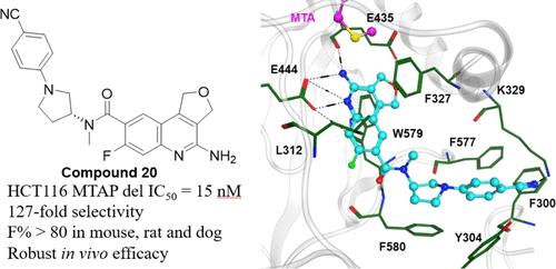 Discovery of Potent, Highly Selective, and Orally Bioavailable MTA Cooperative PRMT5 Inhibitors with Robust In Vivo Antitumor Activity