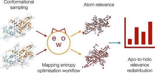 A Multiscale Analysis of the CzrA Transcription Repressor Highlights the Allosteric Changes Induced by Metal Ion Binding