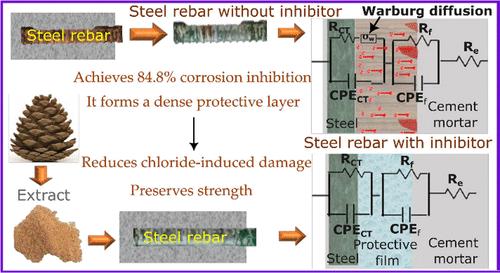 Mechanistic Insights into the Eco-Friendly Conifer Cone Extract’s Corrosion Inhibition on Steel Rebar and Cement Mortar: An Experimental and Simulation Approach