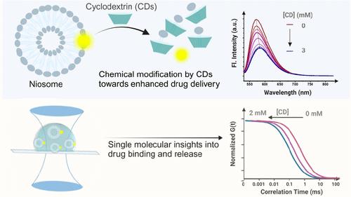Cyclodextrin Derivatives as Modulators for Enhanced Drug Delivery from Niosome Membrane: A Fluorescence Correlation Spectroscopy and Isothermal Titration Calorimetry Approach