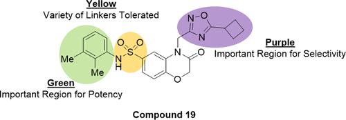 Structure–Activity Relationship Studies of an Autophagy Inhibitor That Targets the ATG14L-Beclin1 Protein–Protein Interaction Reveal Modifications That Improve Potency and Solubility and Maintain Selectivity