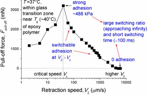Thermal- and Rate-Regulated Fast Switchable Adhesion within Glass Transition Zone of an Epoxy Polymer