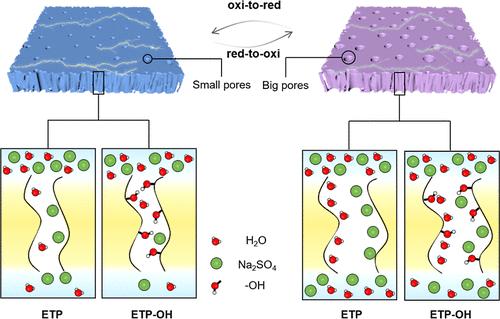 Pulsatile Ion Transport in Nanofiltration Membranes Coupled with Electrically Tunable Pore and Hydroxyl Electrostatic Interactions
