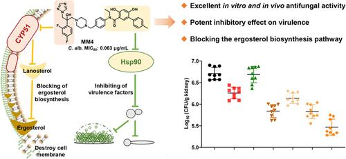Lanosterol 14α-Demethylase (CYP51)/Heat Shock Protein 90 (Hsp90) Dual Inhibitors for the Treatment of Invasive Candidiasis