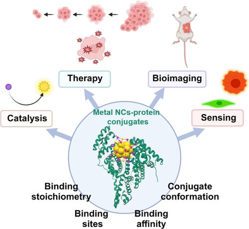 Precision Metal Nanoclusters Meet Proteins: Crafting Next-Gen Hybrid Materials