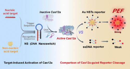 Programmable DNA Nanoswitch-Regulated Plasmonic CRISPR/Cas12a-Gold Nanostars Reporter Platform for Nucleic Acid and Non-Nucleic Acid Biomarker Analysis Assisted by a Spatial Confinement Effect