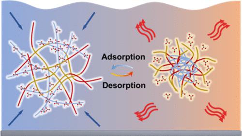 Fabrication of Thermoresponsive Adsorbents with High Amine Efficiency for Wet CO2 Capture: Coupling Responsiveness with Adsorption Swing